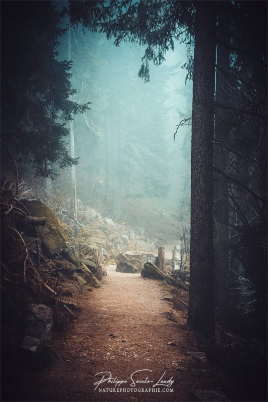 Sentiers dans la brume autour du Mummelsee - Forêt Noire