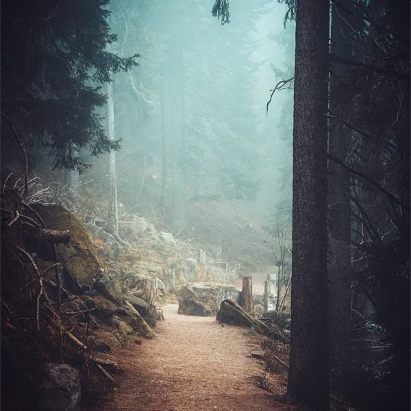 Forest Mysteries Sentiers dans la brume autour du Mummelsee - Forêt Noire