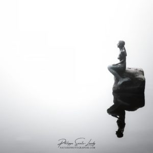 Introspection Sirène de profil sur le Mummelsee