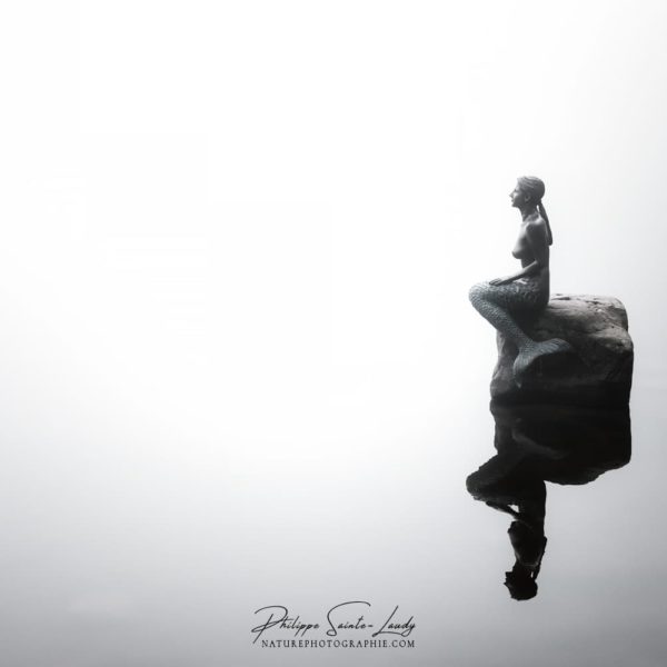 Introspection Sirène de profil sur le Mummelsee