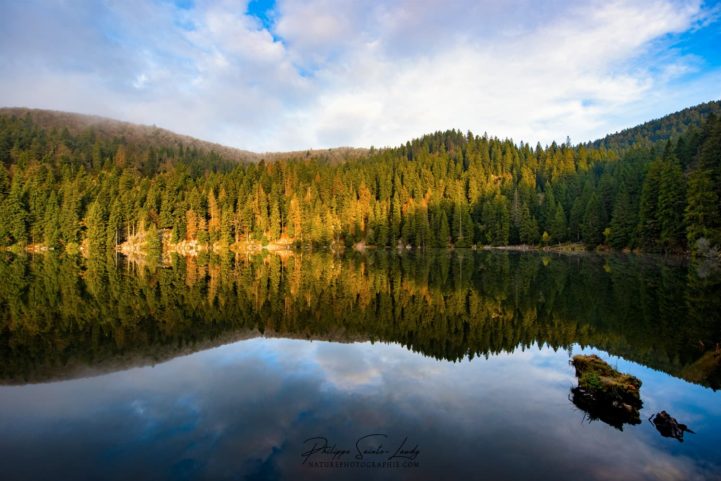 Le Lac Vert sous le soleil