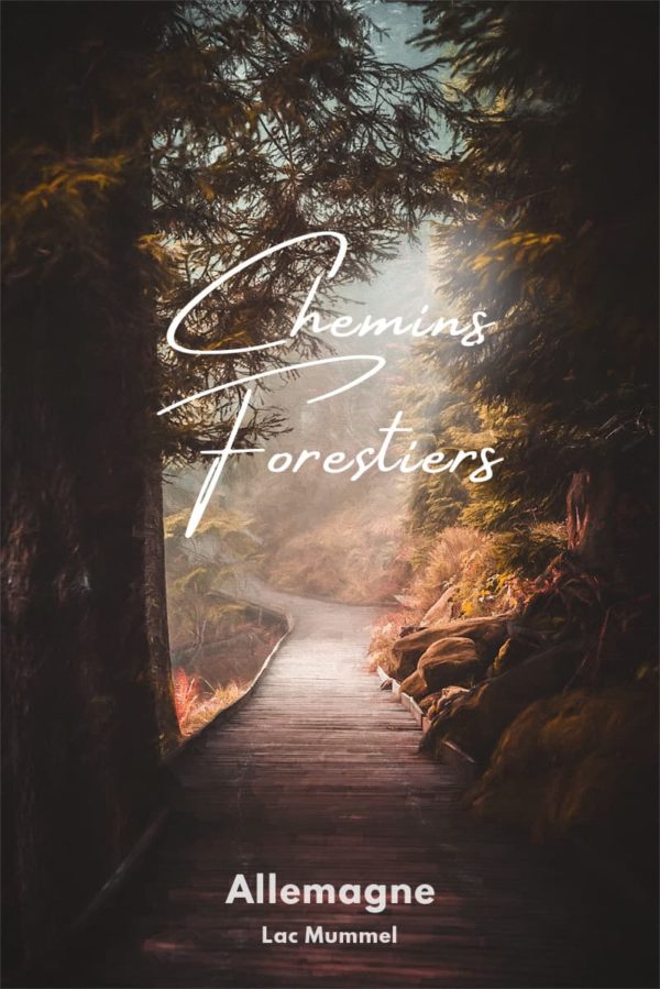 Photos de sentiers forestiers autour du Mummelsee en Forêt Noire