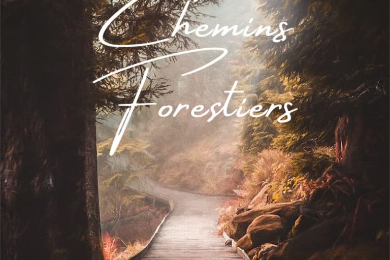Photos de sentiers forestiers autour du Mummelsee en Forêt Noire