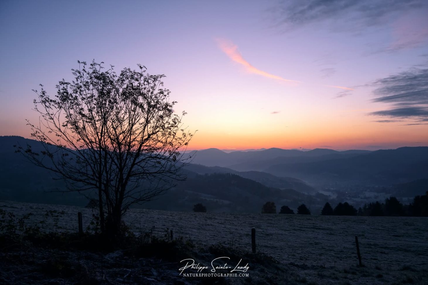 Les Vosges au lever du soleil