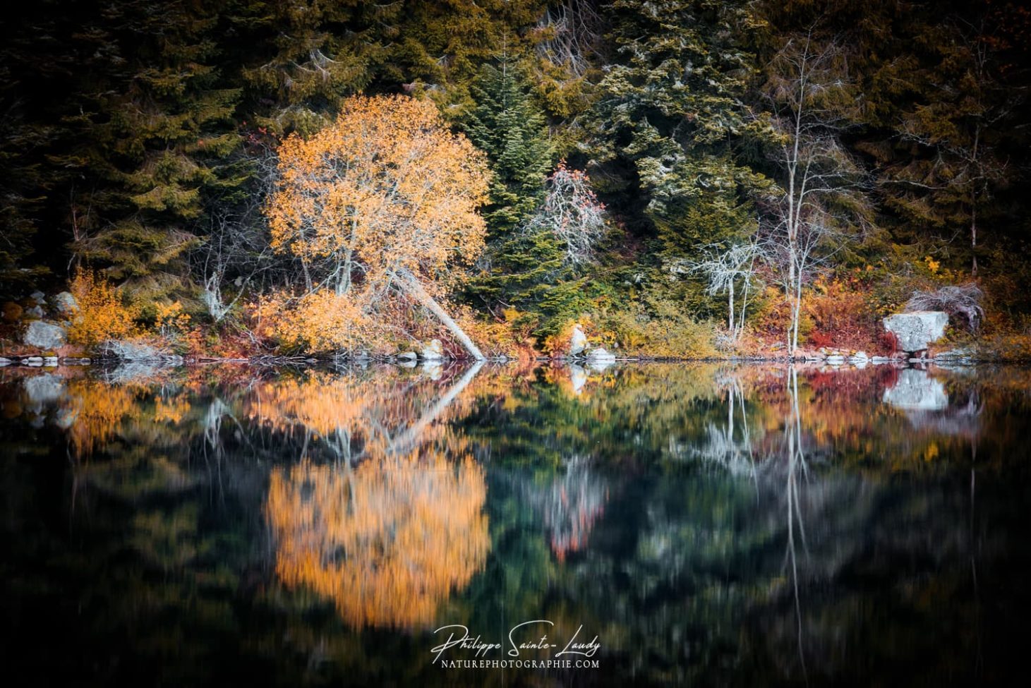 Reflets géométriques