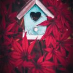 Une cabane à oiseaux au milieu de feuilles d'érable rouge