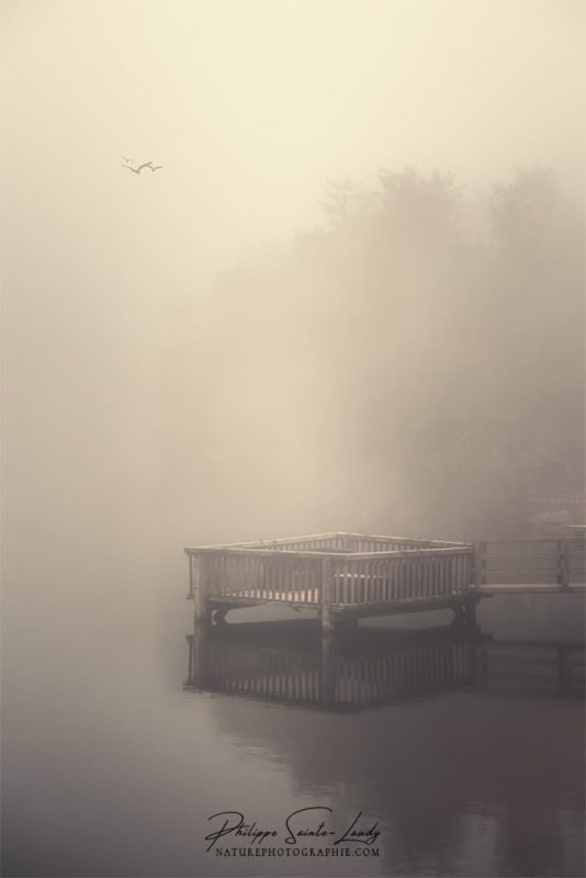 Photo poétique dans le brouillard du Mummelsee