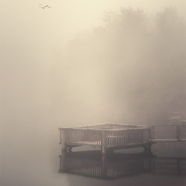 Poetic Moment Photo poétique dans le brouillard du Mummelsee