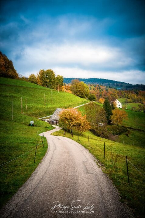 Une petite route dans les Vosges en automne