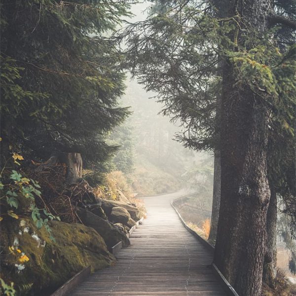Scent of Autumn Brouillard sur les sentiers au Mummelsee en Allemagne