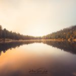 Reflet matinal sur le Lac Vert dans les Vosges