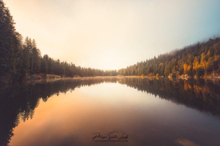 Reflet matinal sur le Lac Vert dans les Vosges