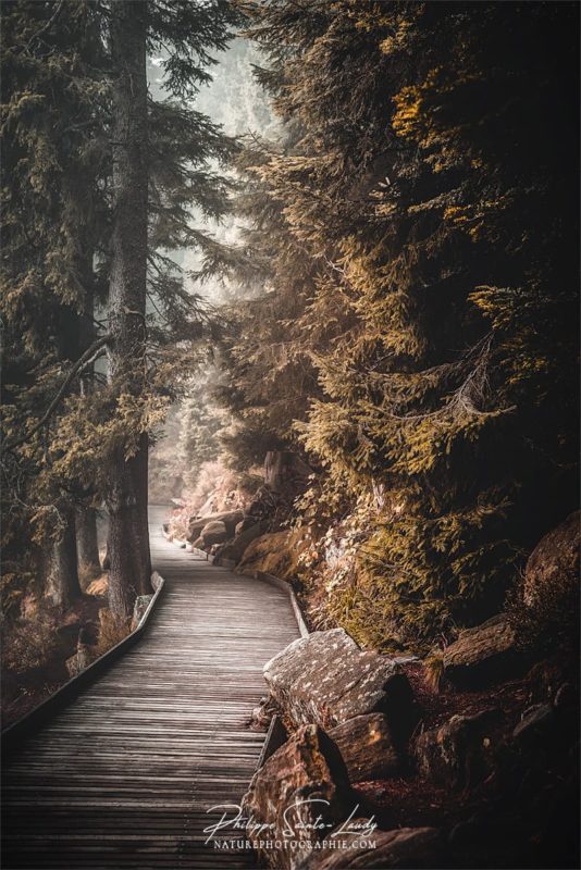 Chemins autour du lac Mummel en Allemagne