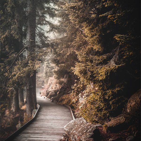 Shades of Autumn Chemins autour du lac Mummel en Allemagne