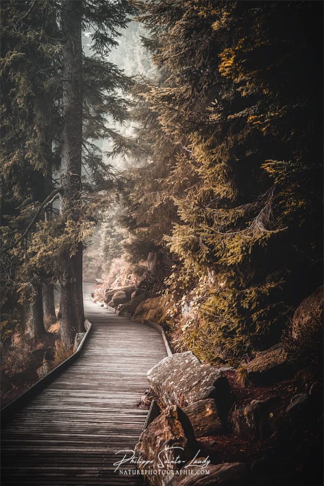 Chemins autour du lac Mummel en Allemagne