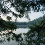 Photo à travers les sapins du Lac Vert