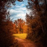 Sentier avec vue sur paysage d'automne
