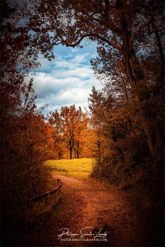 Sentier avec vue sur paysage d'automne