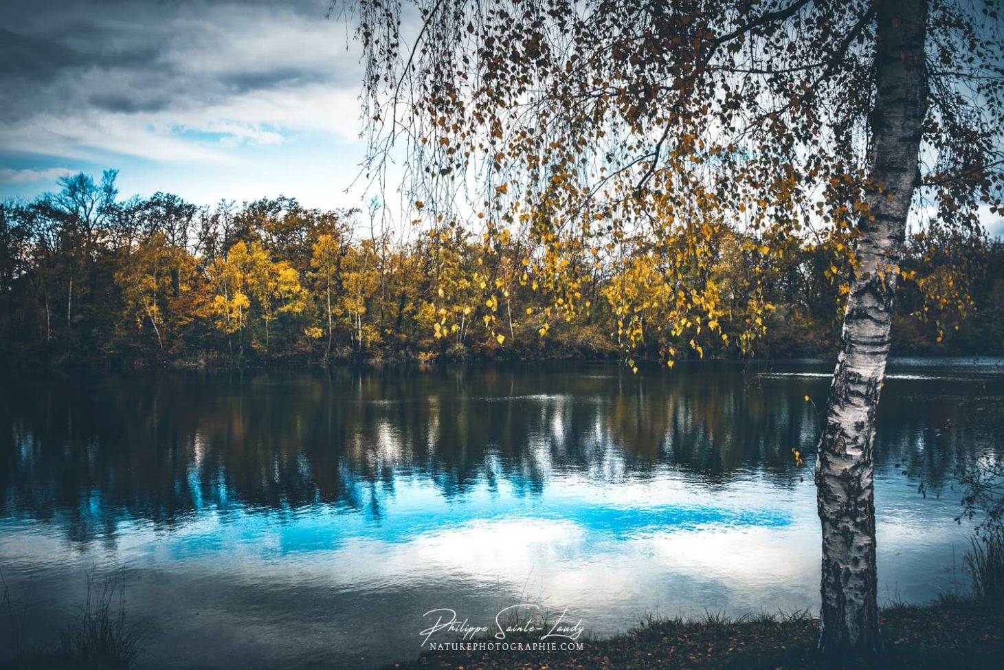 Un lacs et des arbres en automne