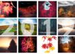 Les photos 2019