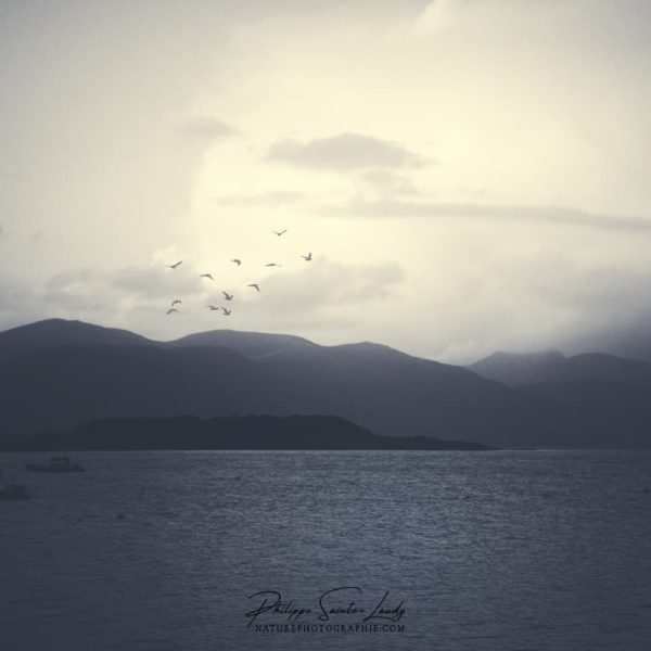 Appin View Vue depuis port Appin