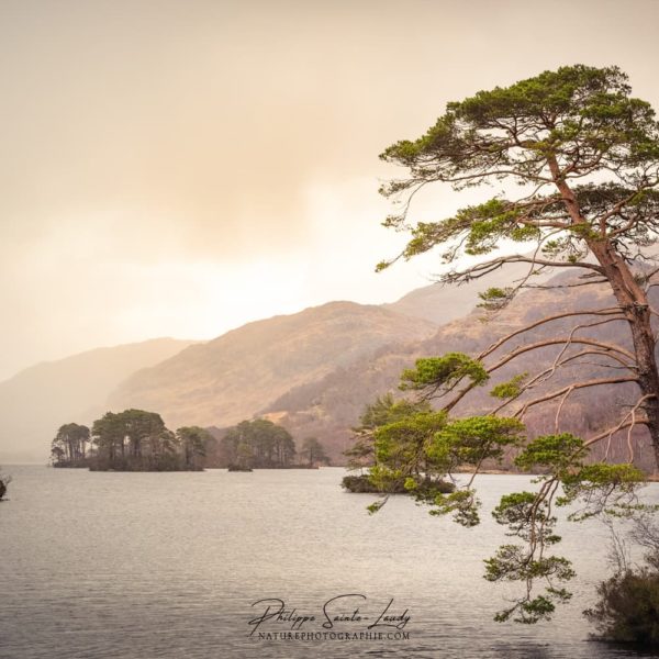 Atmosphere Highlands Le Loch Eilt dans les Highlands en Écosse