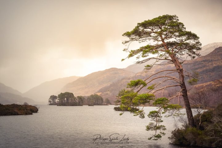 Le Loch Eilt dans les Highlands en Écosse