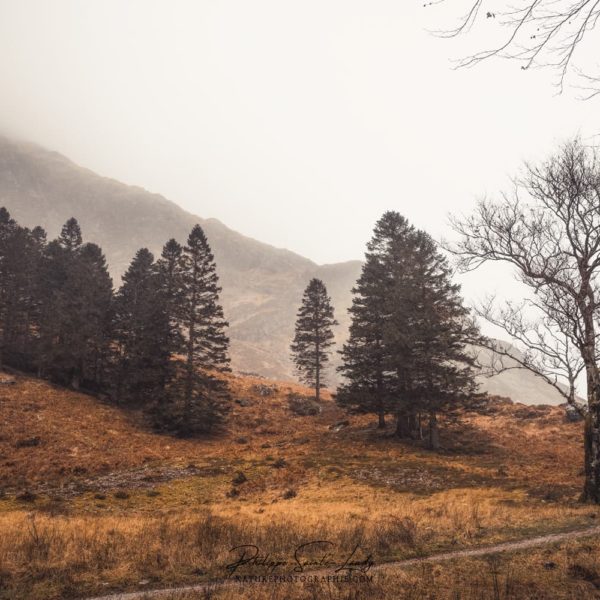 Children of the Wind Brouillard dans les Highlands