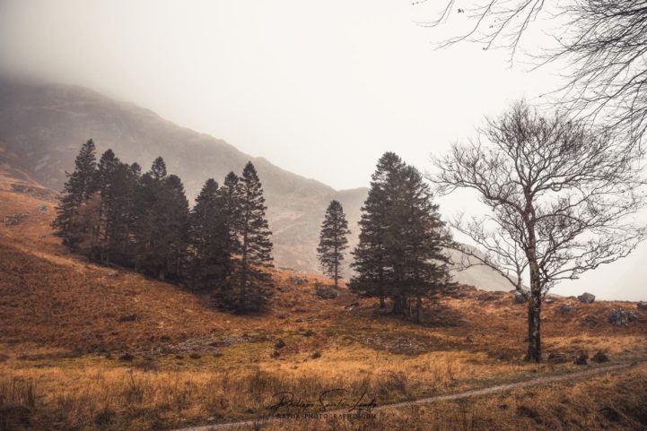 Brouillard dans les Highlands
