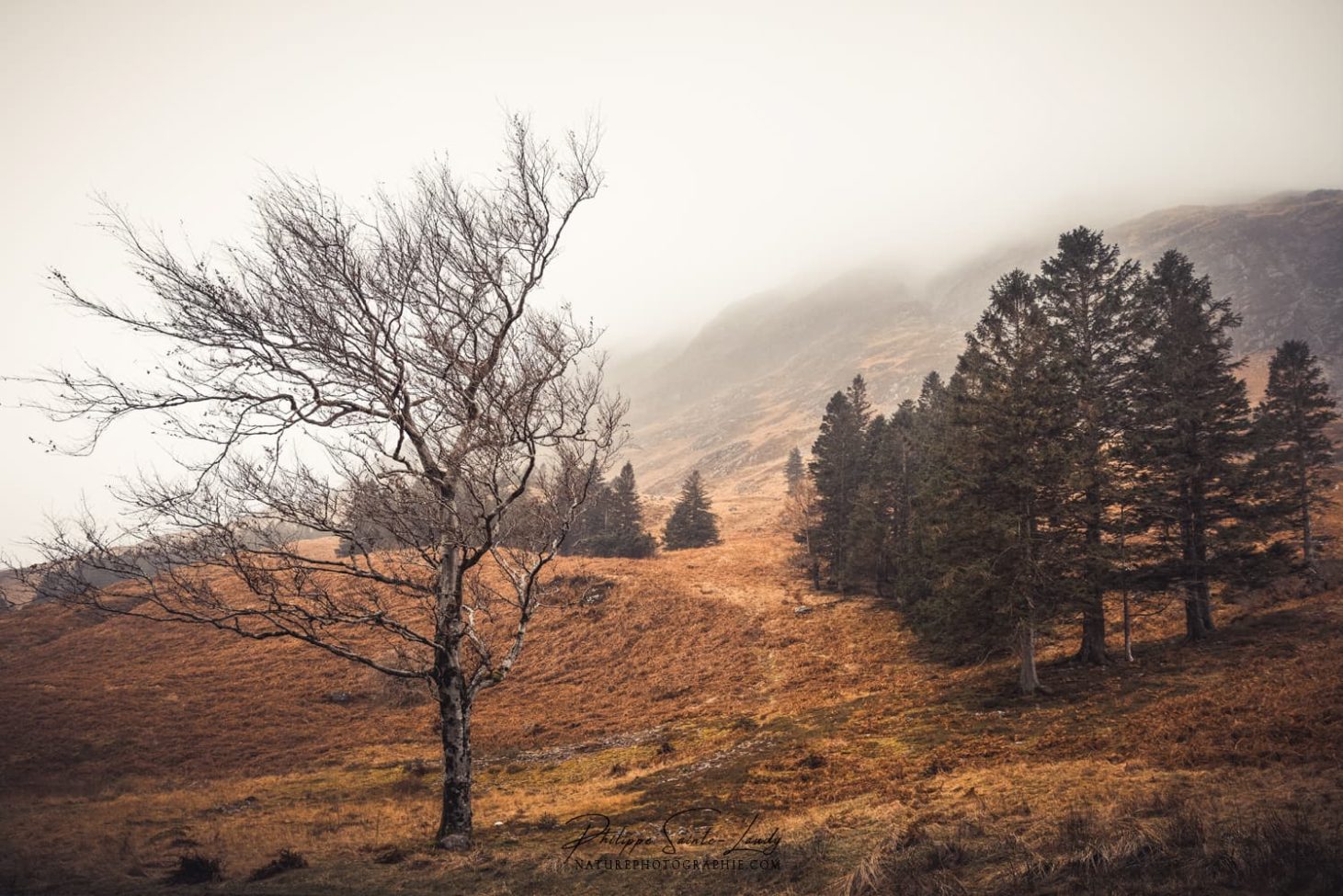 Photo des Highlands en Écosse