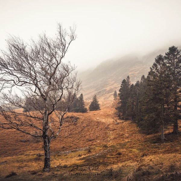 Highland Atmosphere Photo des Highlands en Écosse