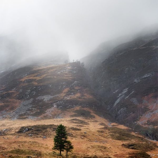 No Rules Glencoe dans le brouillard
