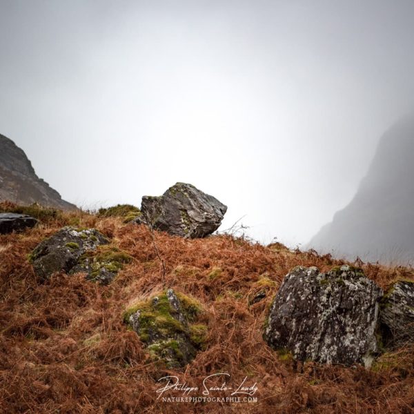 Rochers des Highlands Rochers sur les Highlands