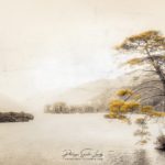 Photo avec texture d'un arbre autour du Loch Eilt