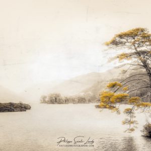 Vintage Loch Eilt Photo avec texture d'un arbre autour du Loch Eilt