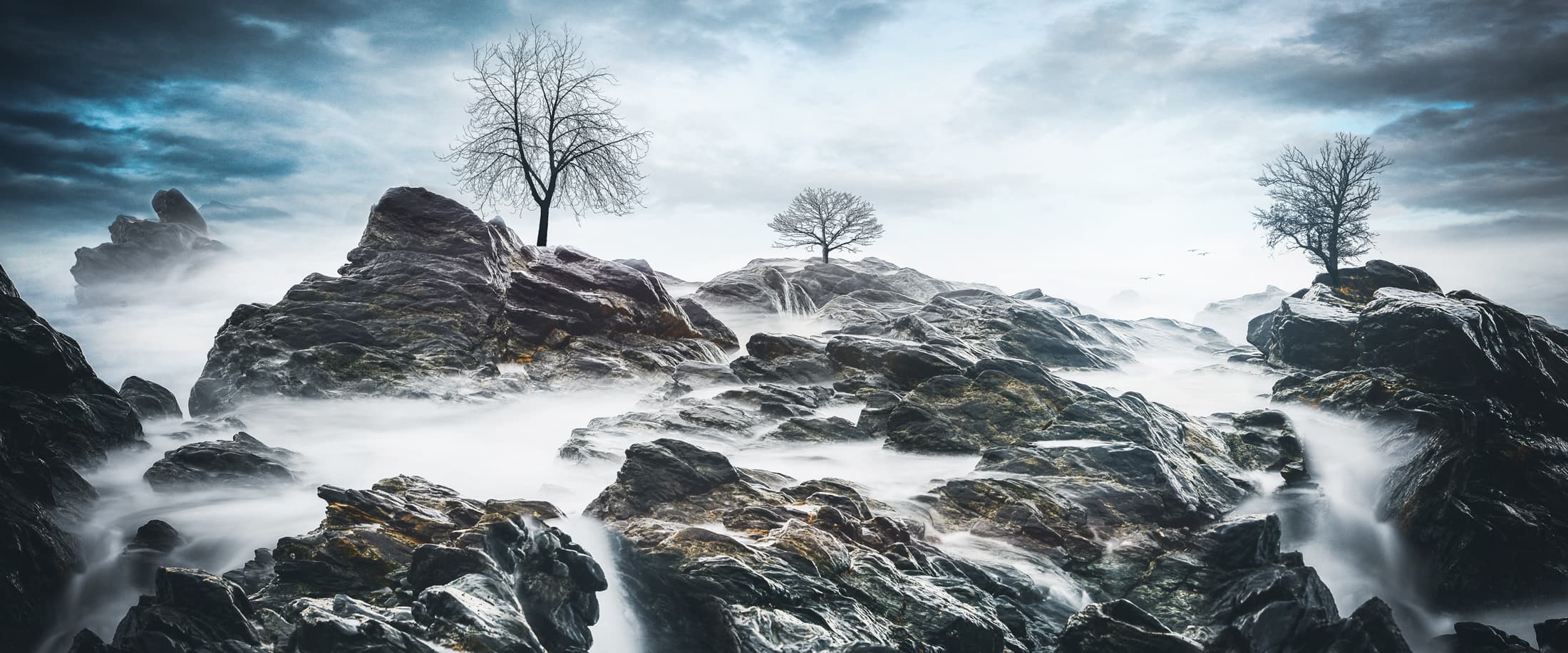 Article sur les grands photographes de paysages