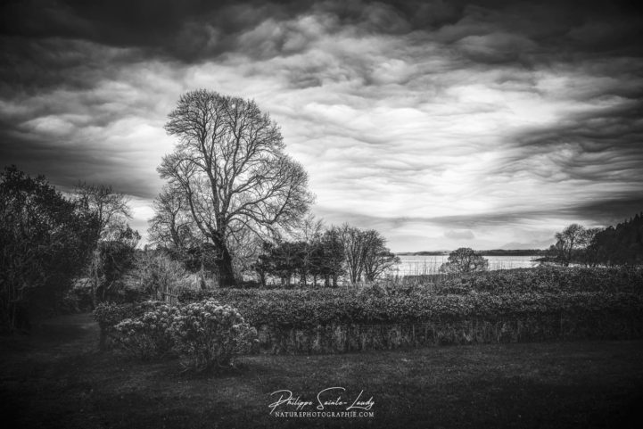Paysage écossais en noir et blanc