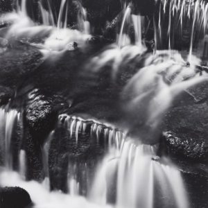 Fern Springs Fern Springs © Ansel Adams