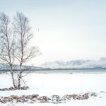 Un fjord enneigé sur les îles Lofoten