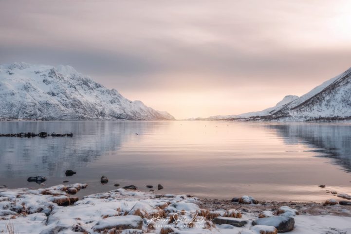 Lumière du matin sur un fjord en Norvège