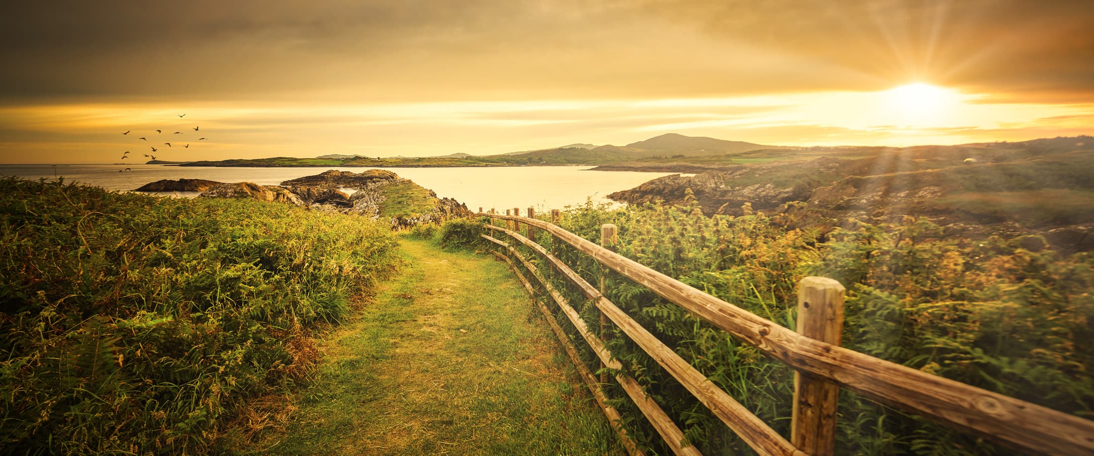 Photographie débutant