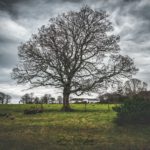 Ciel d'orage dans la nature écossaise