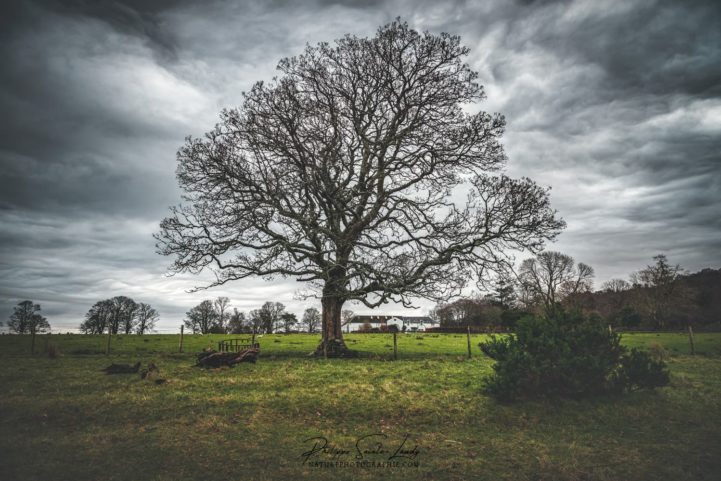 Ciel d'orage dans la nature écossaise