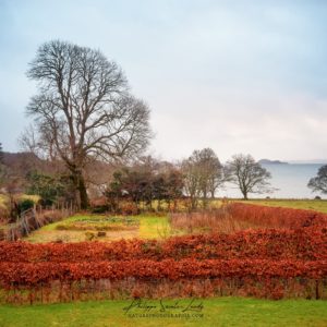 Scottish Garden Jardin en Écosse