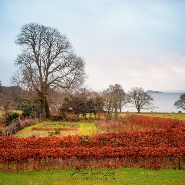 Scottish Garden Jardin en Écosse