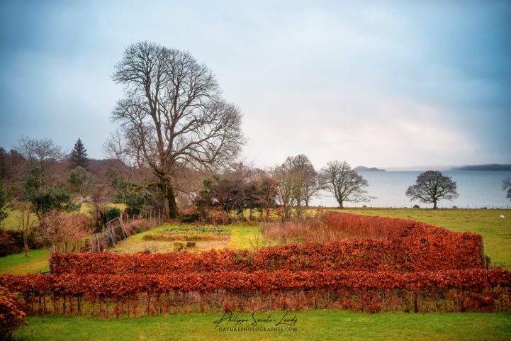 Jardin en Écosse