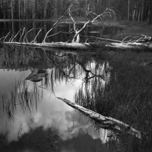 Siesta Lake Siesta Lake © Ansel Adams