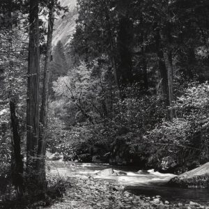 Tenaya Creek, Spring Rain Tenaya Creek, Spring Rain © Ansel Adams