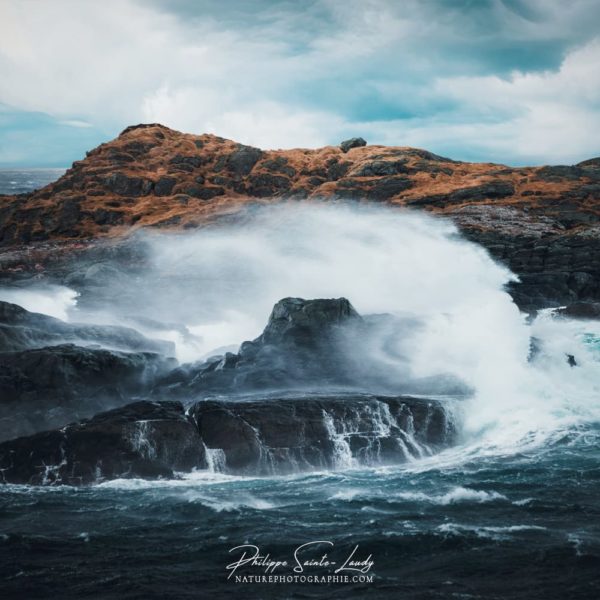 Wild One Gros temps en Norvège