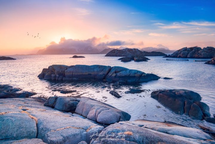 Lofoten au coucher du soleil